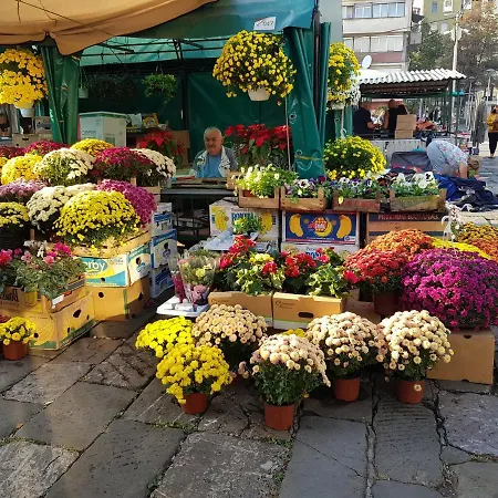 Garden Square *