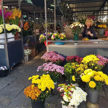 Garden Square * Belgrado